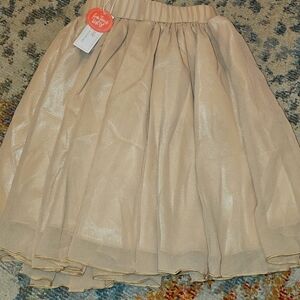 Bailey's Blossoms Pleated & Lined Chiffon Aurora Maxi Skirt